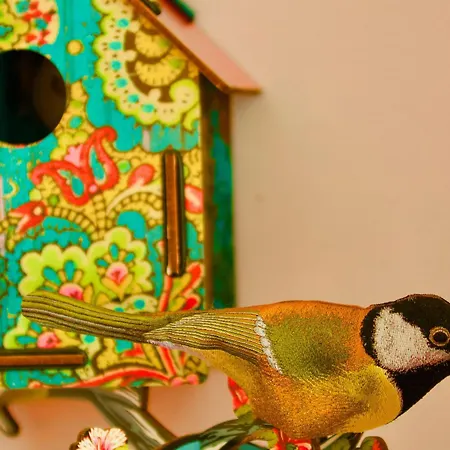 De Charme Avec Sauna, Bain Nordique Et Parc Arbore Au Coeur Des Vosges - Fr-1-589-13 度假居