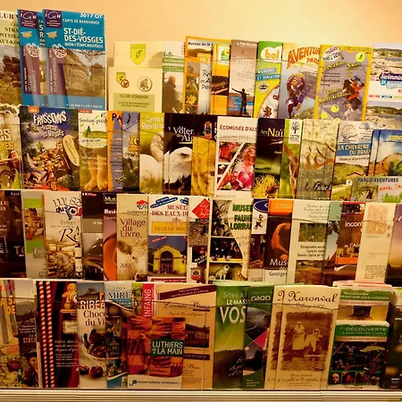 De Charme Avec Sauna, Bain Nordique Et Parc Arboré Au Cœur Des Vosges - Fr-1-589-13 Casa vacanze